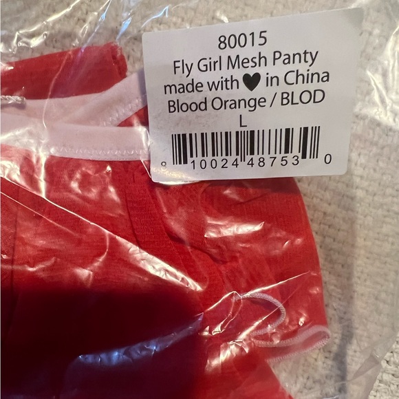 NWT Free People We Are HAH Fly Girl Mesh Lingerie Panty Blood Orange Size large - Picture 4 of 4